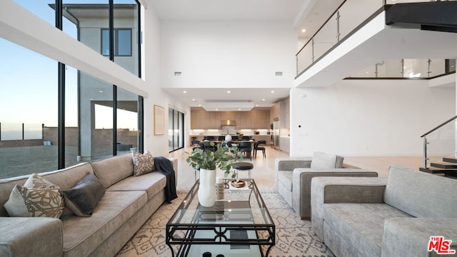 living room featuring a high ceiling