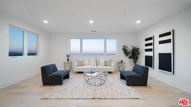 living room featuring light hardwood / wood-style flooring and plenty of natural light