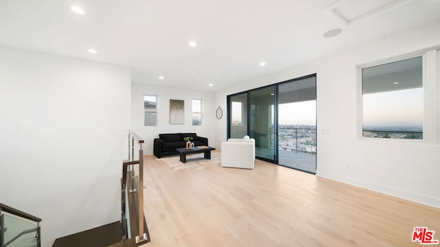 living room with light hardwood / wood-style floors