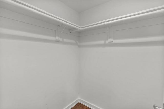 spacious closet with hardwood / wood-style flooring