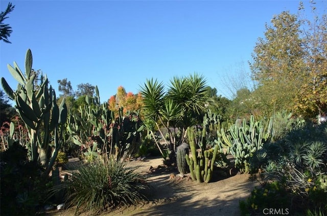 view of landscape