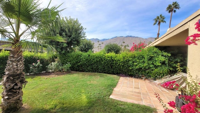 view of yard with a mountain view