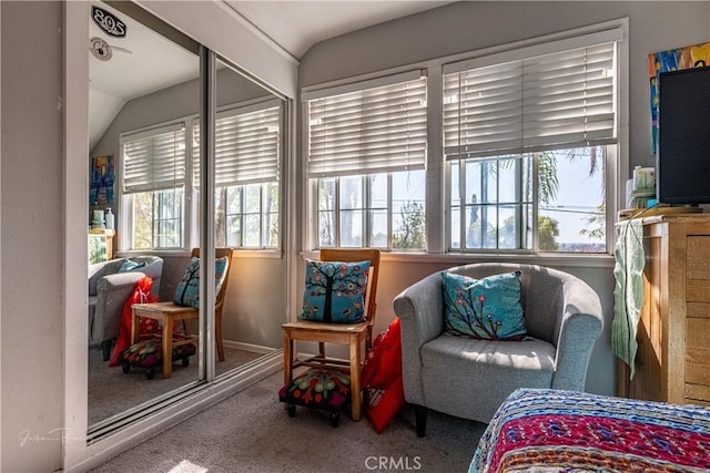 sitting room featuring carpet flooring and vaulted ceiling