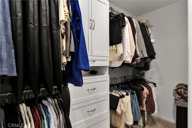 spacious closet featuring carpet