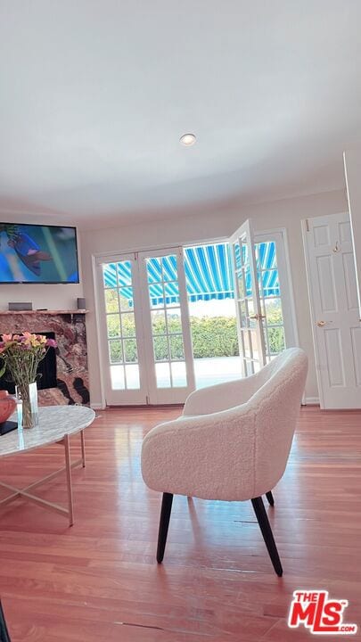 living room featuring wood-type flooring, a wealth of natural light, and a fireplace