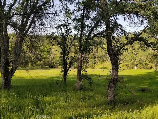 Listing photo 2 for 0 Bethridge Rd, Oroville CA 95966