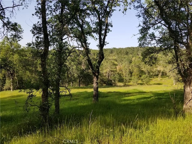 Listing photo 3 for 0 Bethridge Rd, Oroville CA 95966