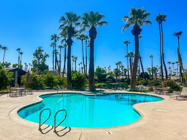 view of pool featuring a patio