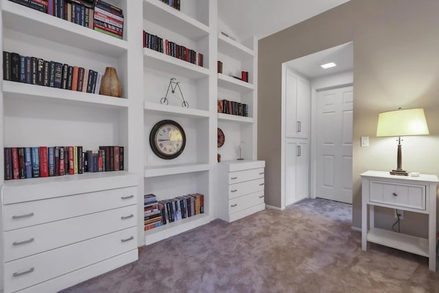 interior space featuring carpet floors