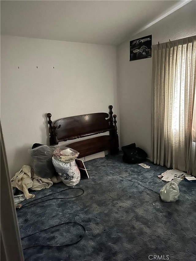 miscellaneous room with vaulted ceiling and dark colored carpet