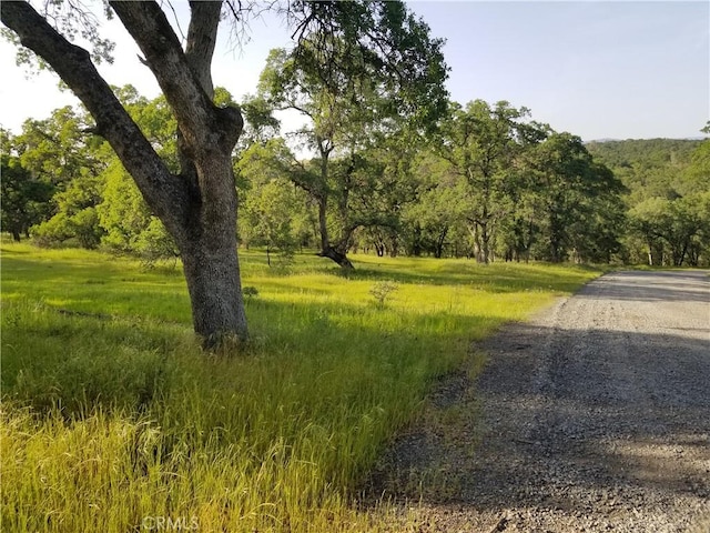 0 Whitney Ct, Oroville CA, 95966 land for sale