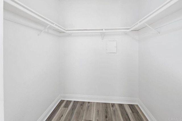 spacious closet featuring hardwood / wood-style floors