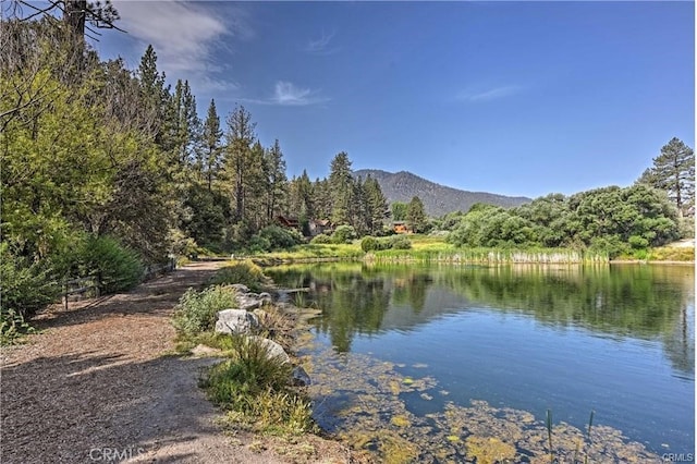 2206 Bernina Dr, Pine Mountain Club, CA 93222 - water view featuring a mountain backdrop and a heavily wooded area