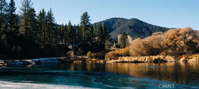 2206 Bernina Dr, Pine Mountain Club, CA 93222 - water view featuring a mountainous background and a forest