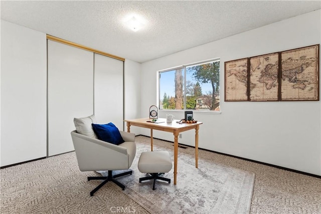 carpeted office space with a textured ceiling