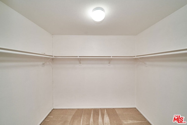 walk in closet featuring light colored carpet