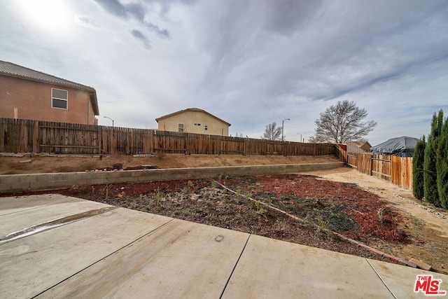 view of yard with a patio