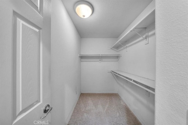 walk in closet with light carpet