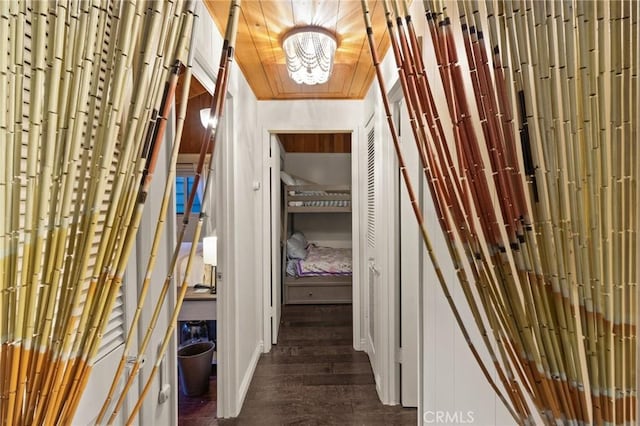 corridor with dark hardwood / wood-style floors