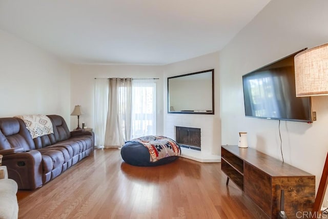 living room featuring a large fireplace and light hardwood / wood-style floors