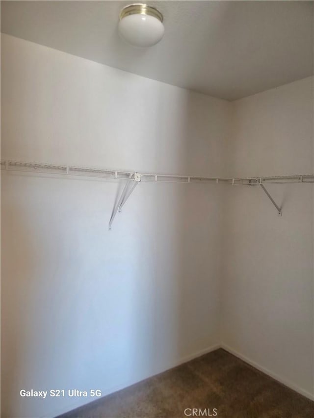 walk in closet with dark colored carpet