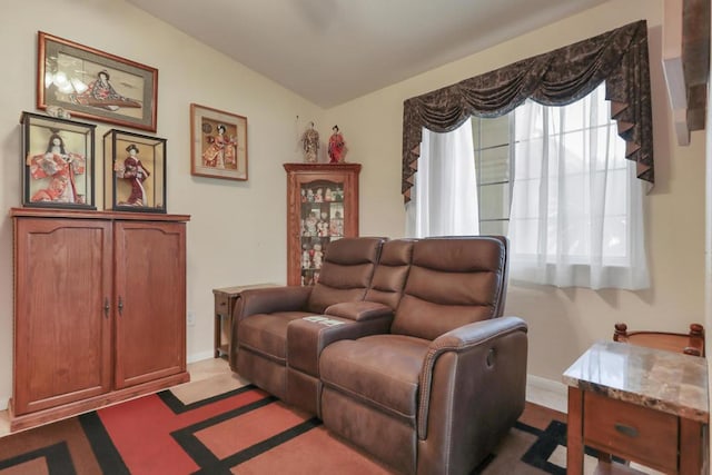 living room featuring lofted ceiling