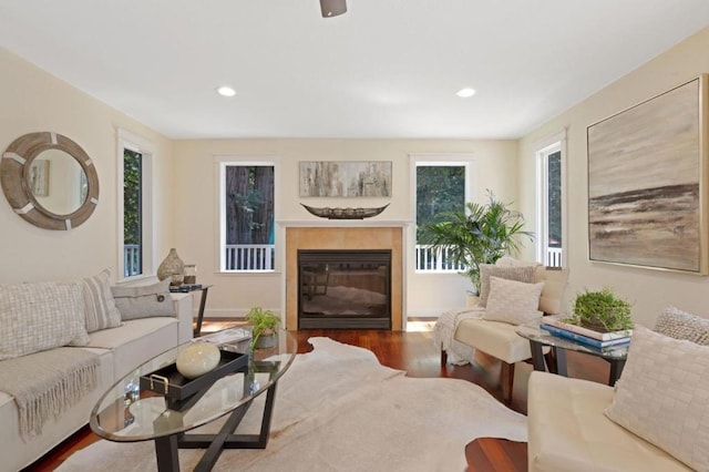 living room with hardwood / wood-style floors