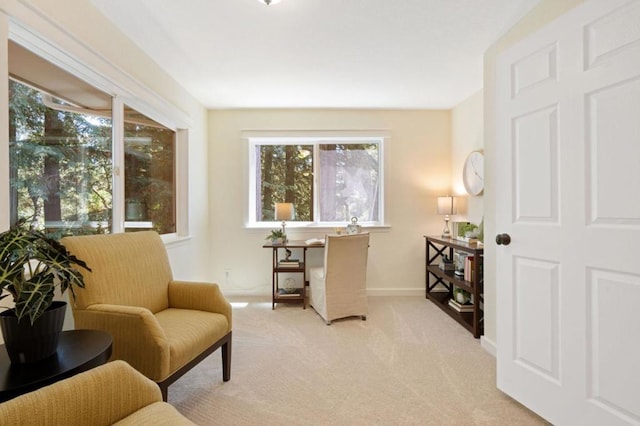 living area featuring light colored carpet