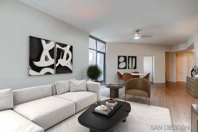 living room with ceiling fan, a wall of windows, and hardwood / wood-style floors