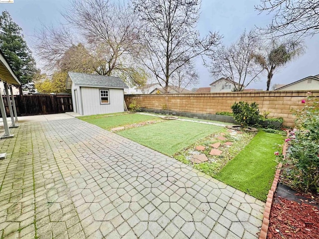 view of yard featuring a patio and a storage unit