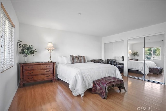 bedroom with multiple closets and wood-type flooring