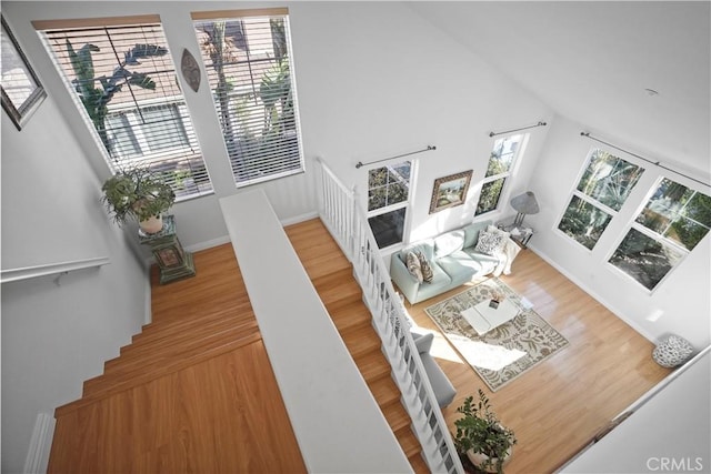 living room with a high ceiling and hardwood / wood-style floors