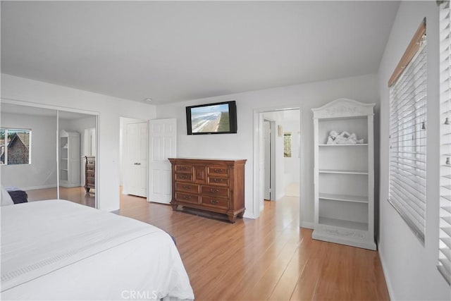 bedroom with wood-type flooring and a closet