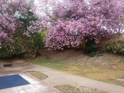 7265 Fletcher View Dr, Highland, CA 92346 - view of yard