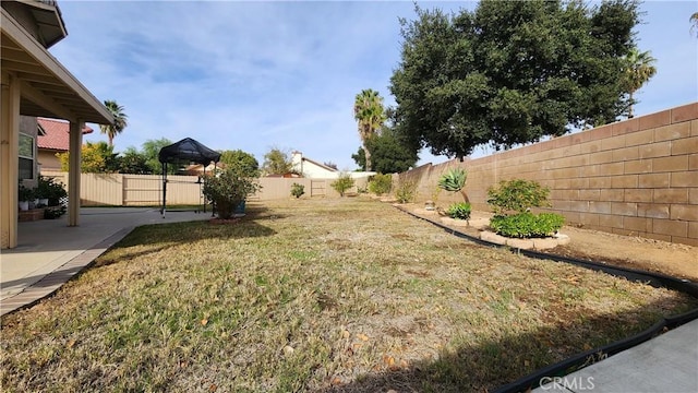 view of yard featuring a patio