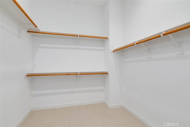 1053 Cadence, Irvine, CA 92618 - walk in closet featuring light carpet