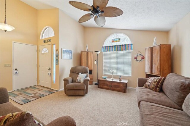 living room featuring ceiling fan, carpet, and a textured ceiling