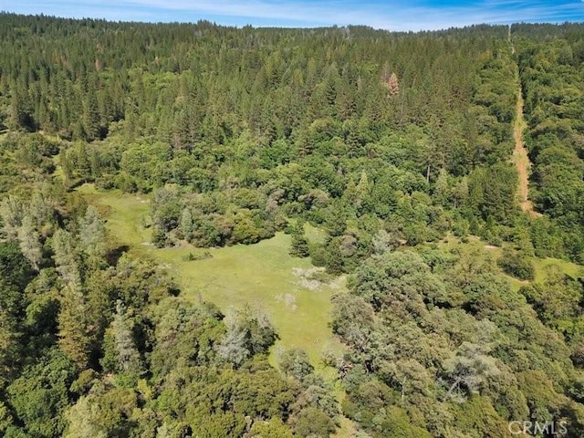 14550 Merriam Rd, Dobbins, CA 95935 - photo 4