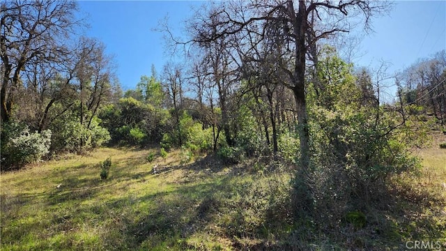 14550 Merriam Rd, Dobbins, CA 95935 - photo 3