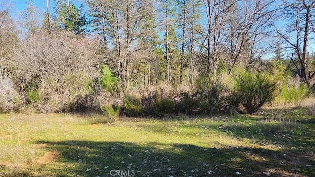 14550 Merriam Rd, Dobbins, CA 95935 - photo 8