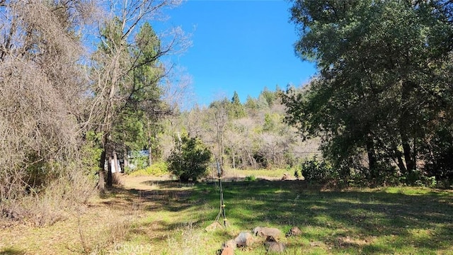 14550 Merriam Rd, Dobbins, CA 95935 - photo 17