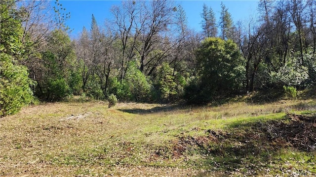 14550 Merriam Rd, Dobbins, CA 95935 - photo 23