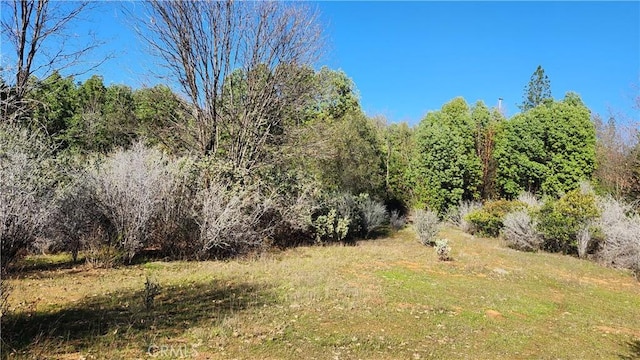 14550 Merriam Rd, Dobbins CA, 95935 land for sale