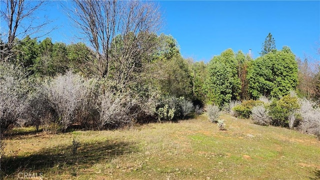 14550 Merriam Rd, Dobbins, CA 95935 - photo 1