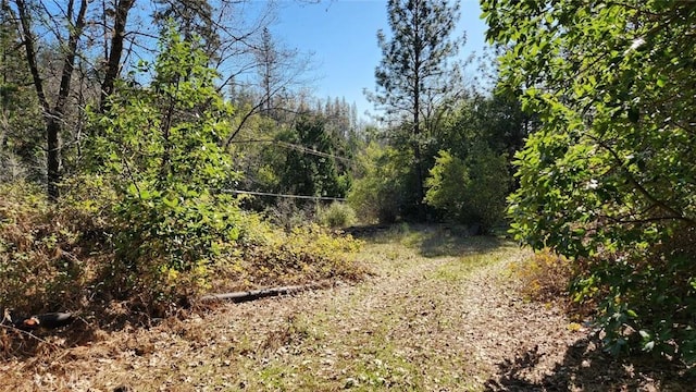 14550 Merriam Rd, Dobbins, CA 95935 - photo 15