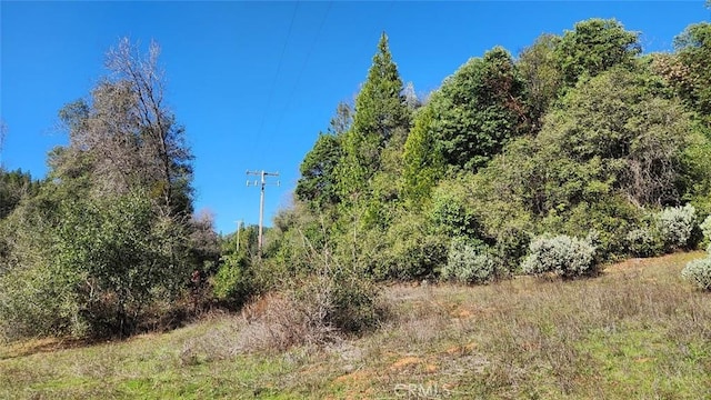 14550 Merriam Rd, Dobbins, CA 95935 - photo 18