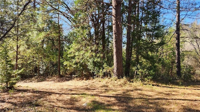 14550 Merriam Rd, Dobbins, CA 95935 - photo 22