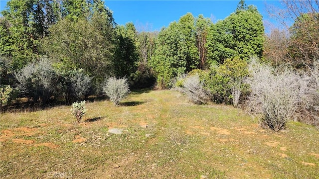 14550 Merriam Rd, Dobbins, CA 95935 - photo 7