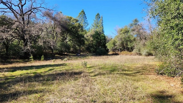 14550 Merriam Rd, Dobbins, CA 95935 - photo 11
