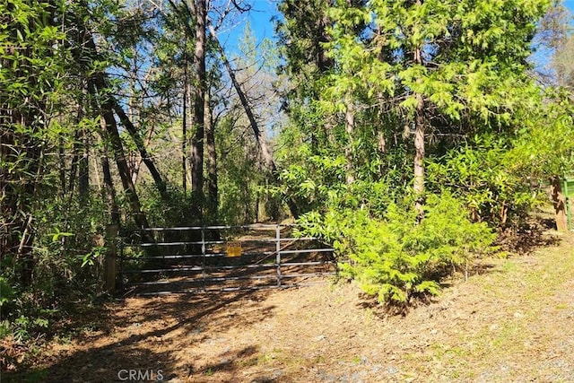 14550 Merriam Rd, Dobbins, CA 95935 - photo 29